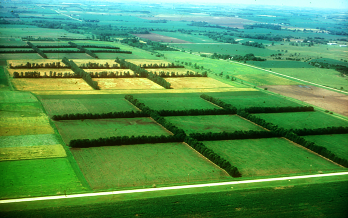 aerial view of the shelterbelt research farm