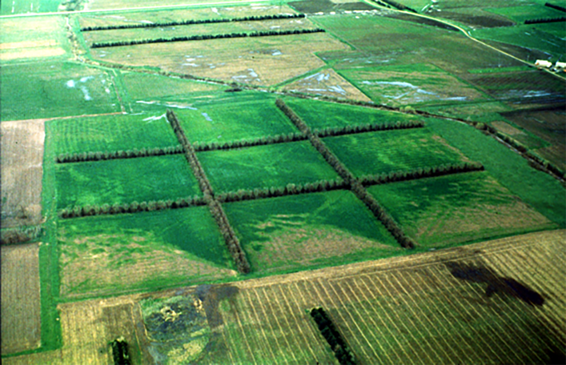 Aerial view of original burr oak provinance