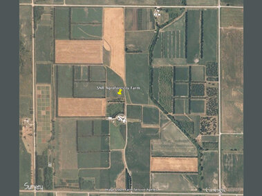 Aerial 2005